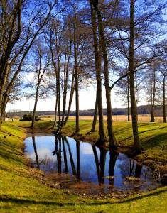 nature-h-c-235-300-8
